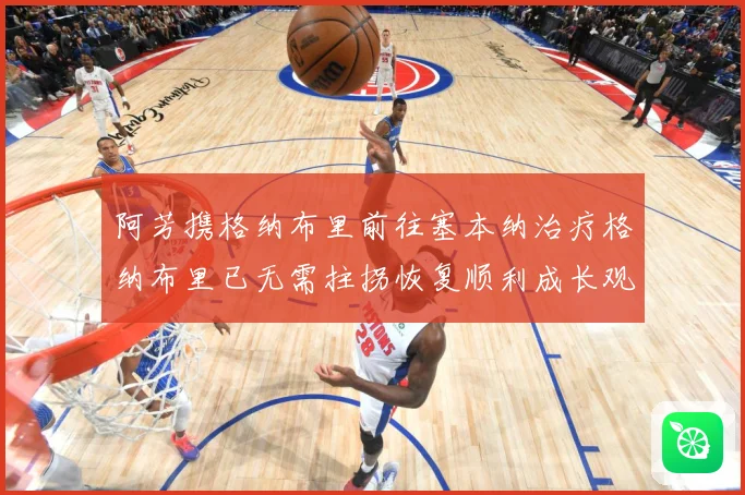 阿芳携格纳布里前往塞本纳治疗格纳布里已无需拄拐恢复顺利成长观察-深度解析